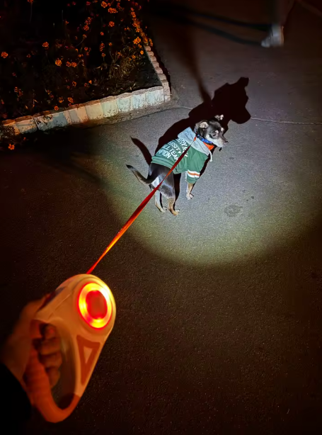 🔦 ¡La Correa que Convierte la Noche en Fiesta! Correa Retráctil LED con Luz ✨