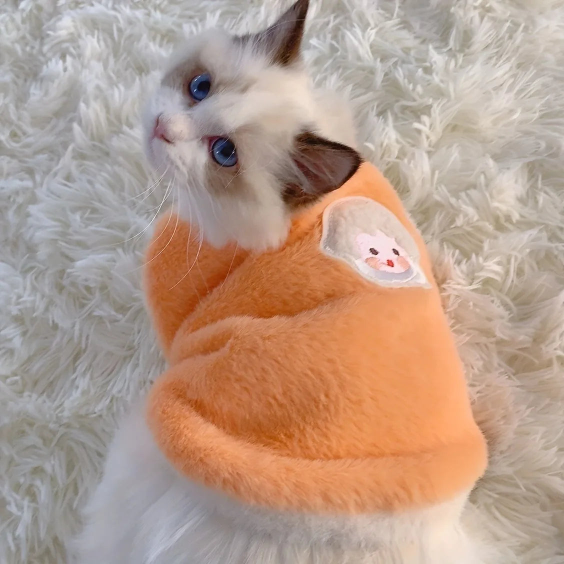 😼🧣 ¡El Desafío de la Moda Felina! Chaleco-Suéter para Gatos