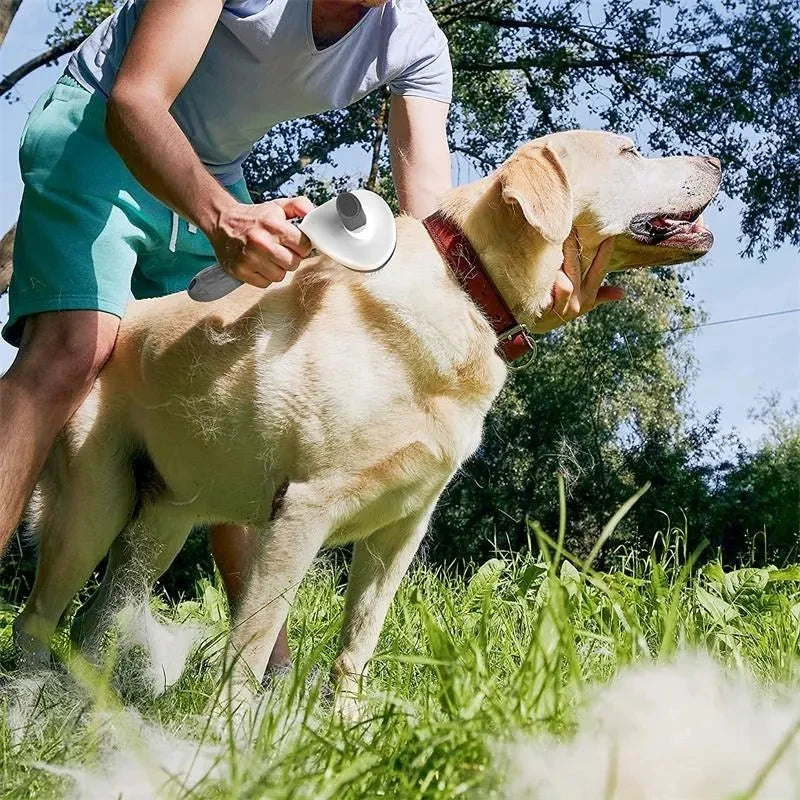 🐶✨ ¡El Botón Mágico Anti-Pelos! Cepillo Autolimpiante: Aseo de Lujo 🐱✨