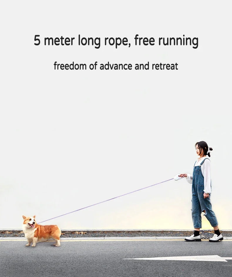 🔦 ¡La Correa que Convierte la Noche en Fiesta! Correa Retráctil LED con Luz ✨