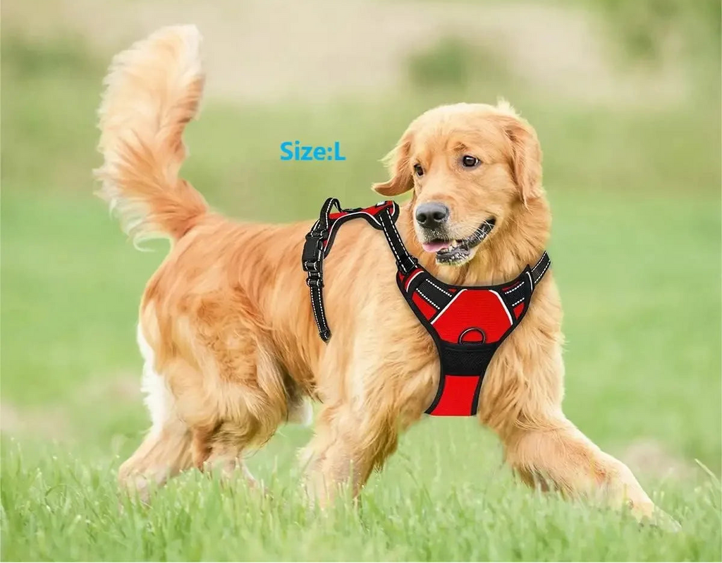 🦸‍♂️✨ ¡Armadura de Paseo y Control Total! Arnés Tipo Chaleco: La Evolución de la Correa
